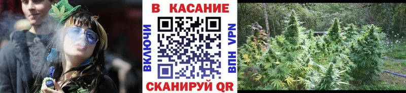  COCAIN Холмск