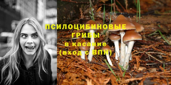 ECSTASY Лабытнанги