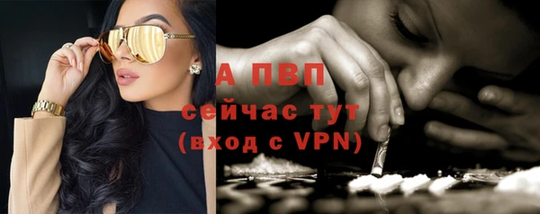jwh Ладушкин
