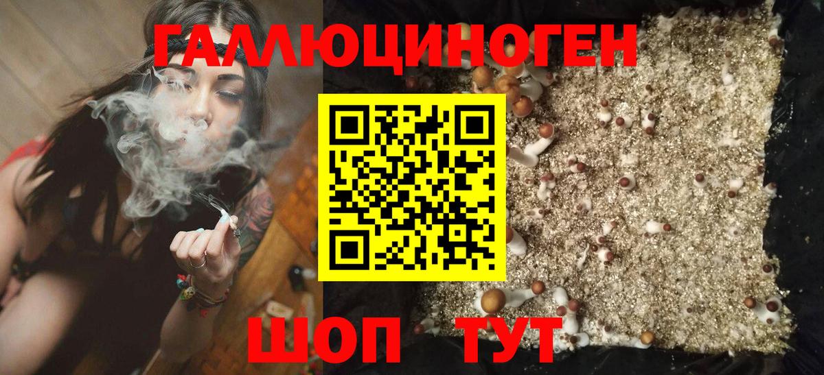 Псилоцибиновые грибы Psilocybe  Галлюциногенные грибы Cubensis  Холмск  Вход с VPN 