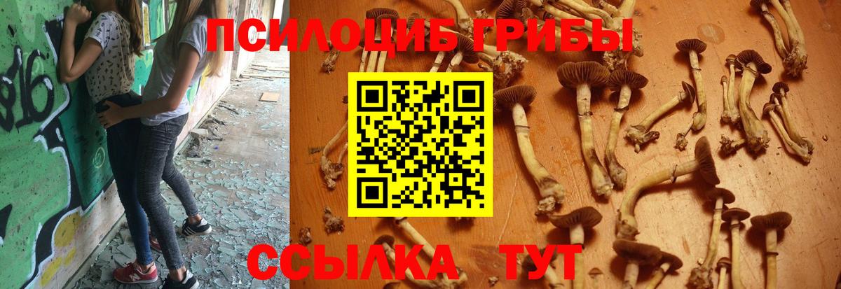 Галлюциногенные грибы MAGIC MUSHROOMS Холмск