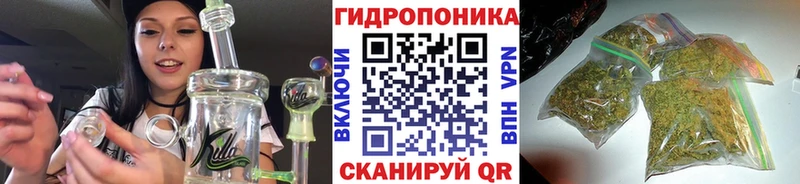 даркнет телеграм  OMG ТОР  Холмск  Бошки марихуана сатива 